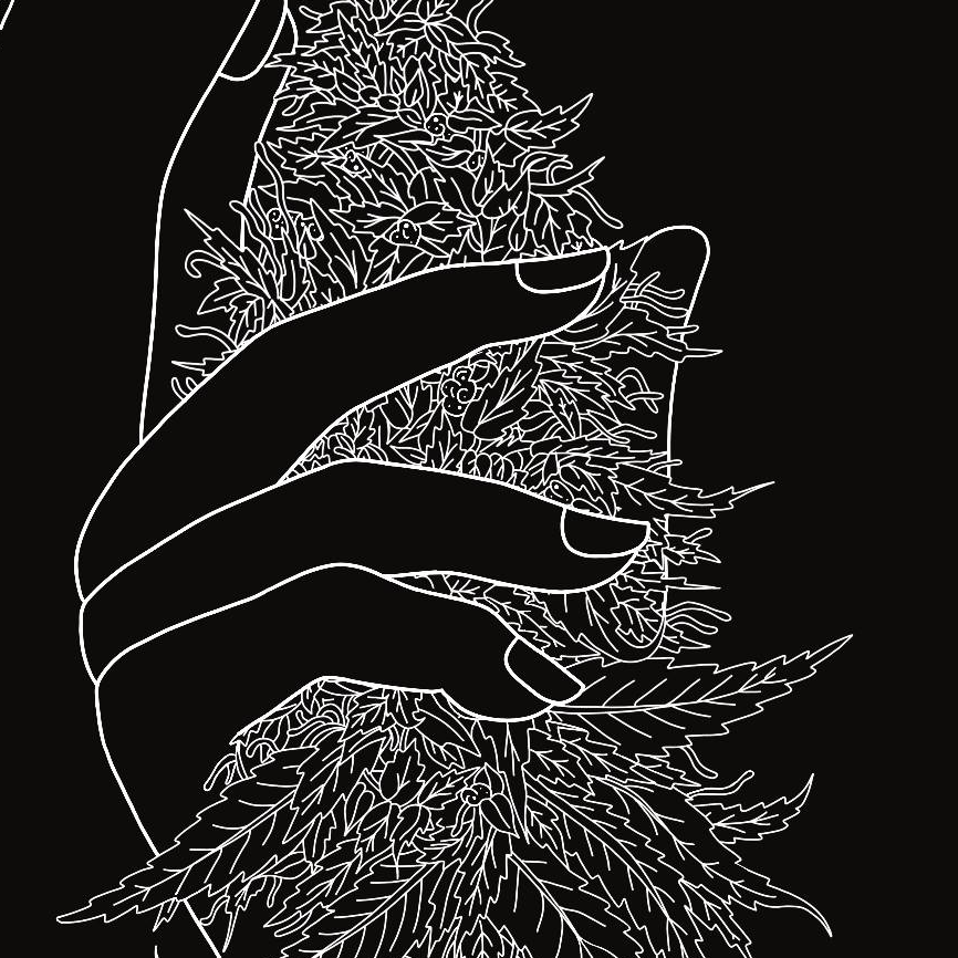 Le chanvre des Combrailles